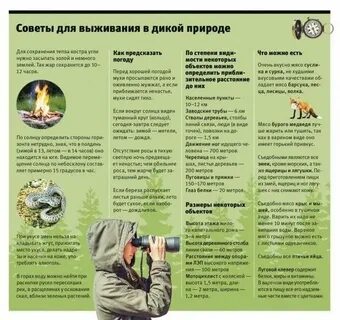 Природа и человек конспект кратко