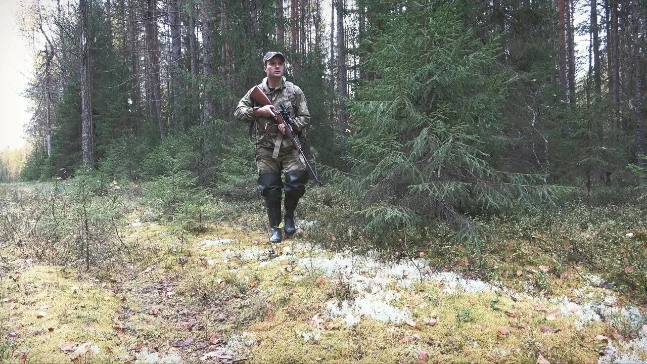 Охота и рыбалка в коми. 223 ремингтон охота на боровую дичь. Охота и рыбалка в тайге коми. На природе в коми последнее видео. Охота и рыбалка в тайге коми.