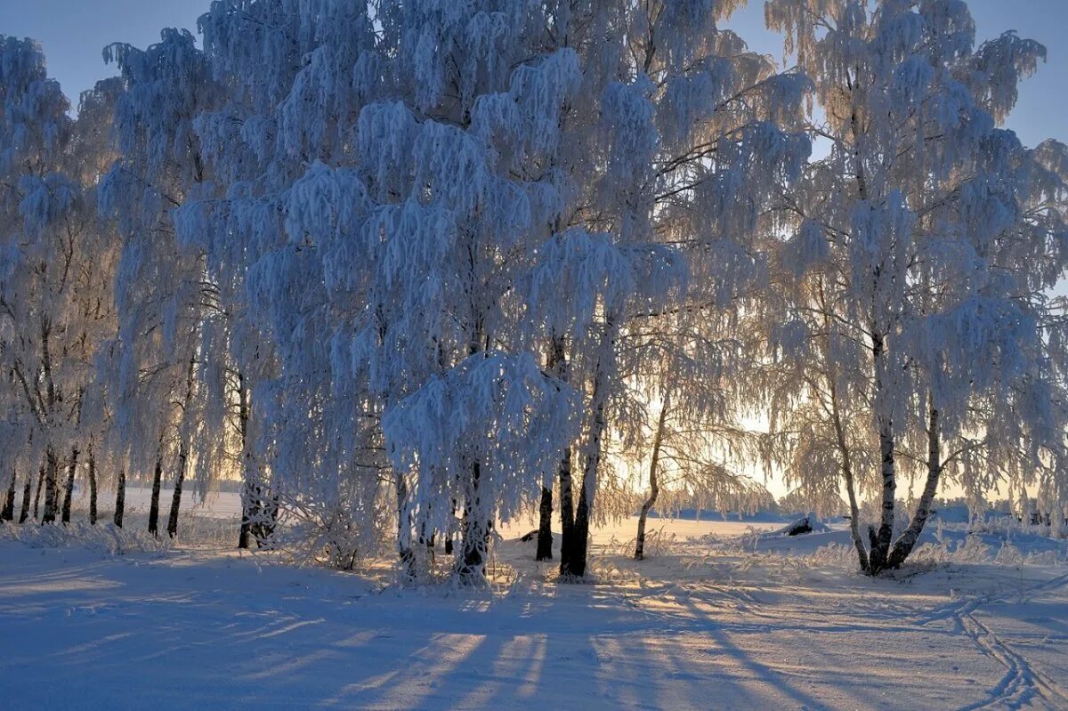 Фонограмма зимы