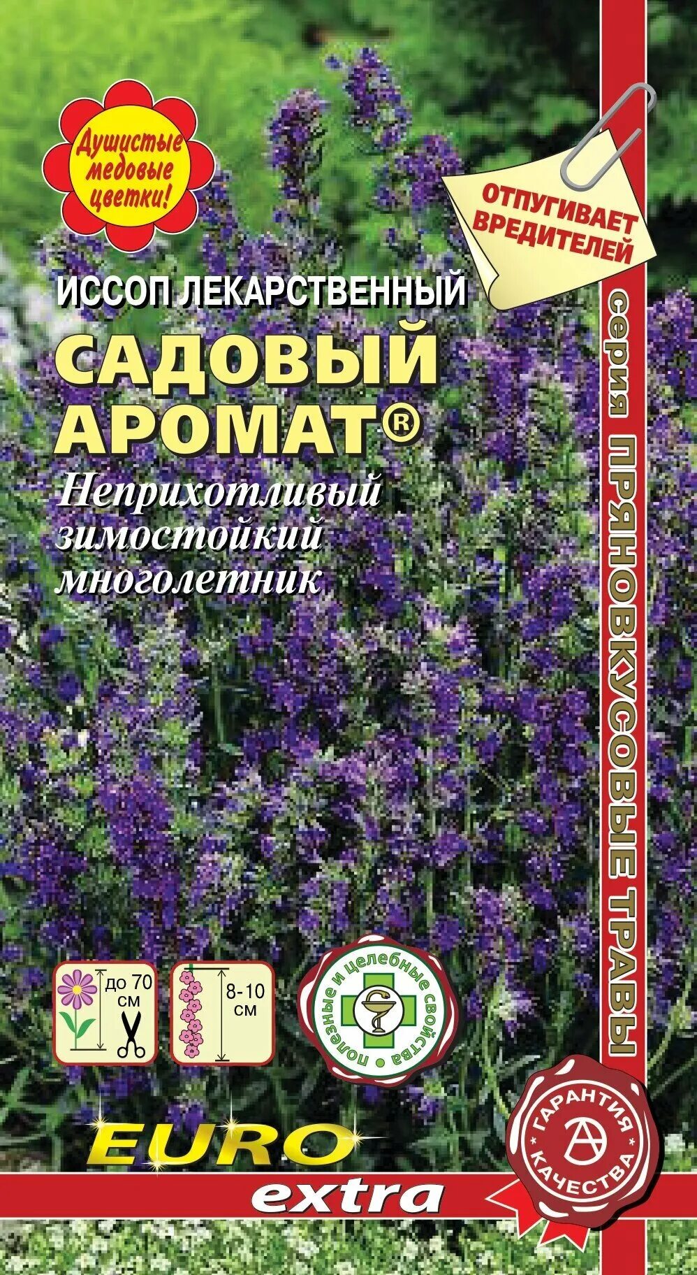 Иссоп семена купить. Иссоп аромат. Семена иссоп садовый аромат. Иссоп лекарственный растение.