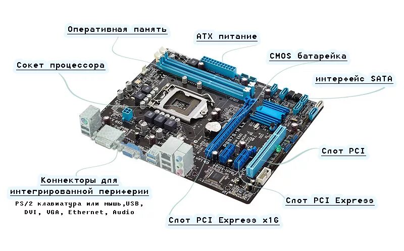 Не подключилось к сокету. Разъемы материнской платы d845epi. Разъемы и слоты материнской платы схема. Основные элементы системной платы ASUS. Название разъемов материнской платы ASUS.