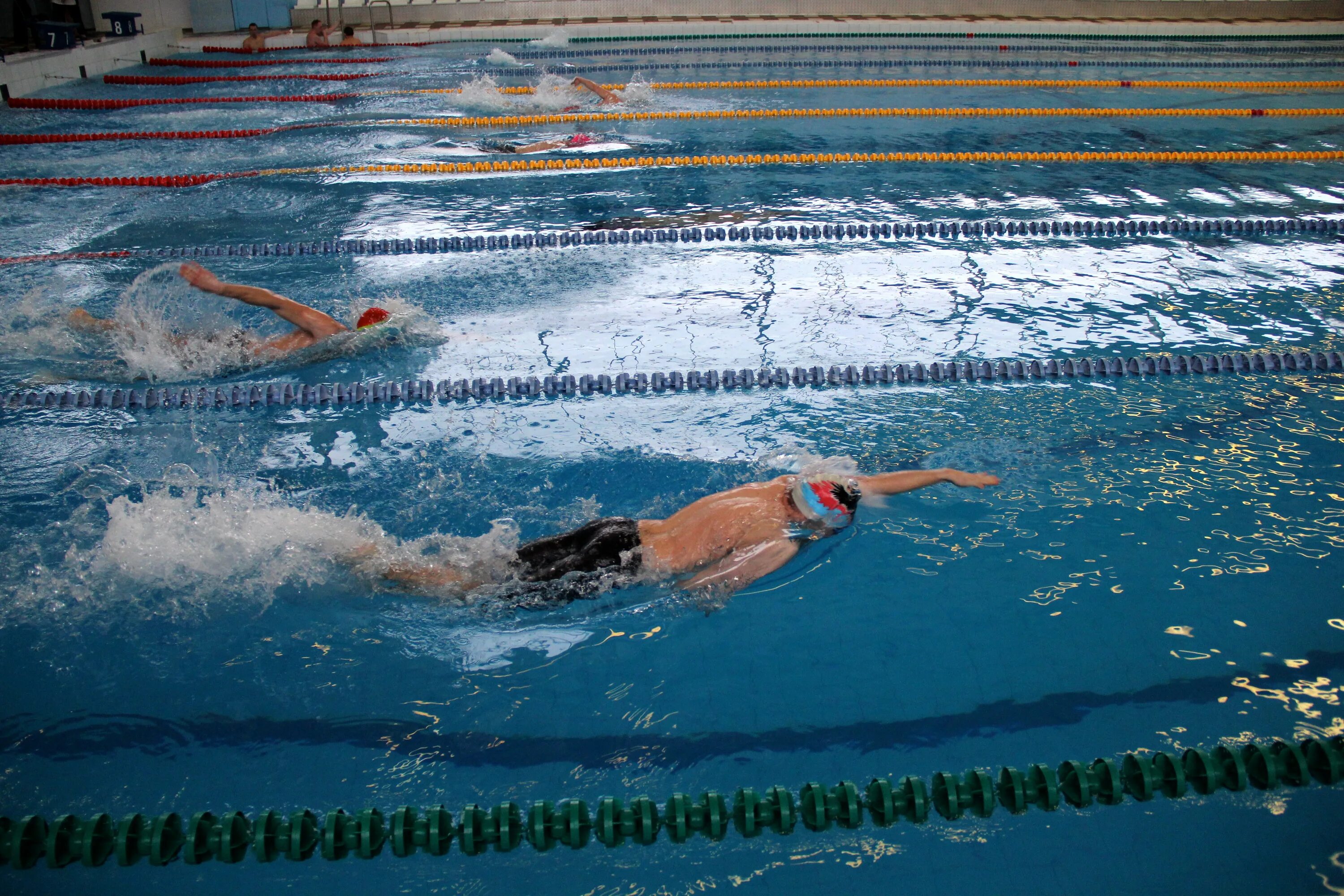 Школа олимпийского резерва пловцы. Фок балтийск. Плавание балтийск. Балтийск цск бассейн цска. Плавание балтийск.