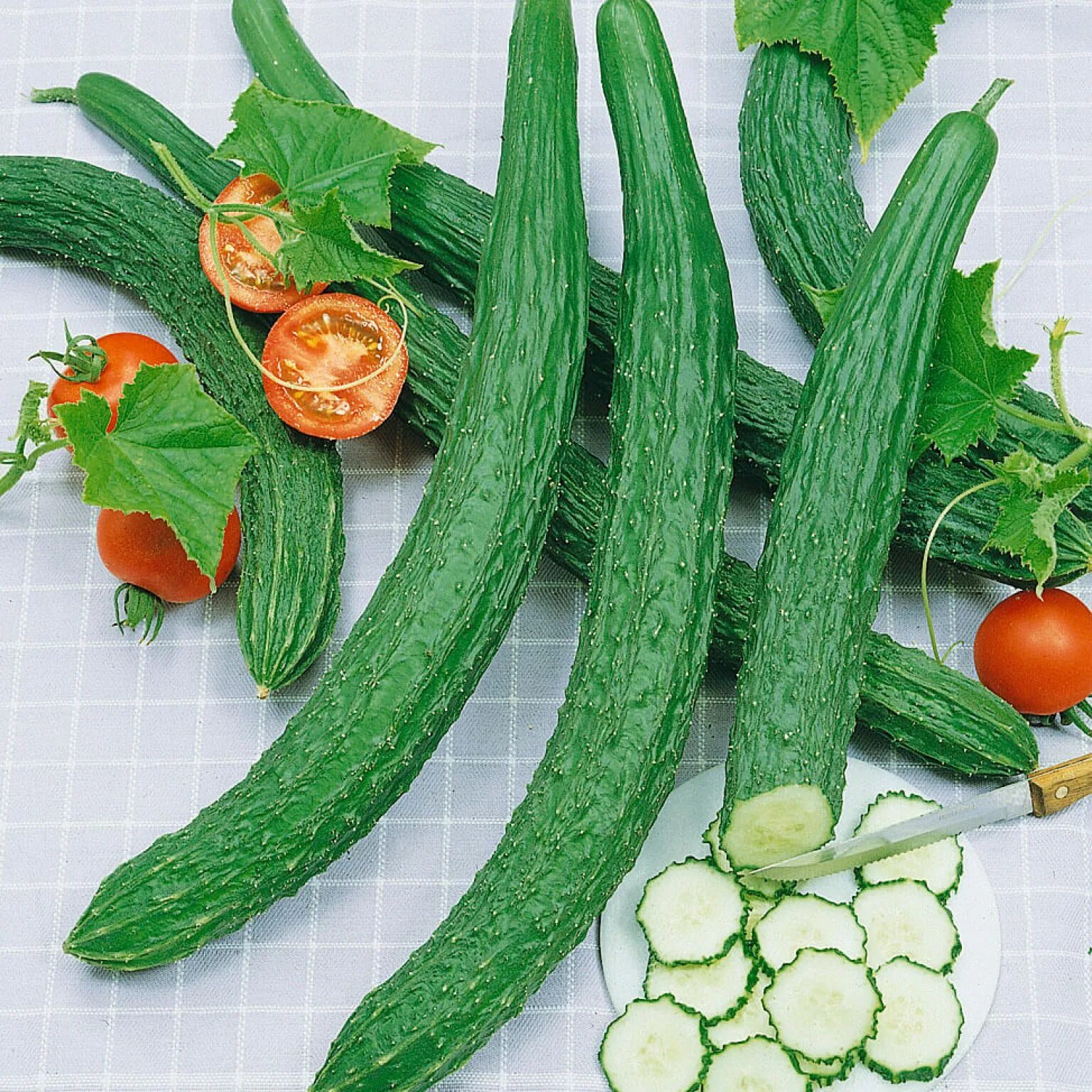 огурец на палочке. огурцы палочки. огурец на палочке. огурец китайские палочки f1. огурец китайские палочки f1.