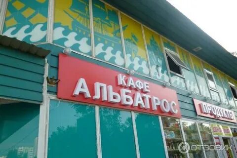 Альбатрос ул чапаева 114 фото