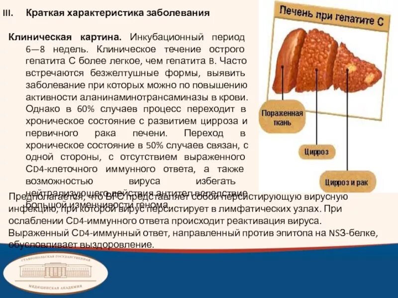 Клиническая картина гепатита а. Клиническая картина острого гепатита с.