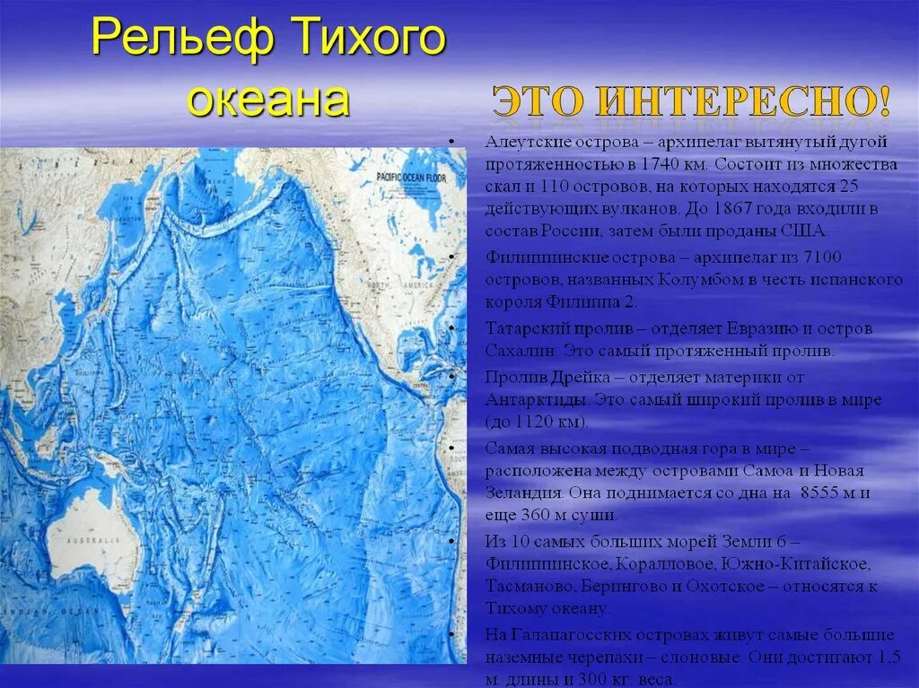 Особенности океанов кратко. Рельеф дна Тихого океана. Рельеф дна Тихого океана 7 класс география. Рельефы Тихого океана 7 класс география. Рельеф дна Тихого океана кратко.