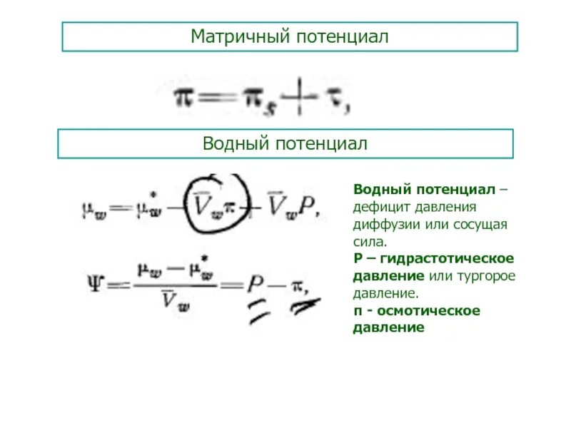 Потенциальная матрица. Матричный потенциал. Матричный потенциал воды. Матричный потенциал клетки.