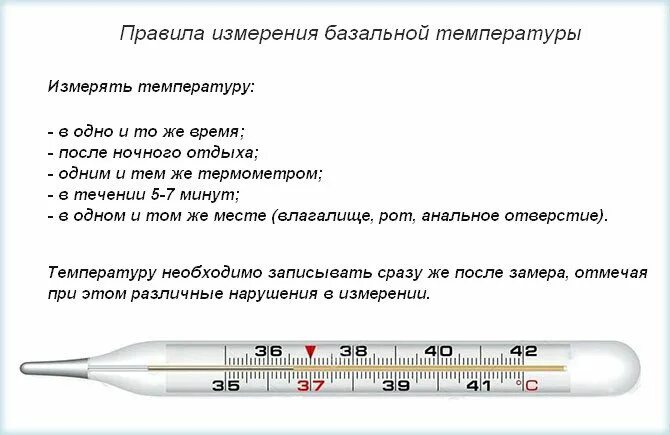 Как правильно мерить температуру градусником. Как правильно измерять температуру ректально. Как правильно мерить базальную температуру. Базальная температура как правильно измерять. Сколько держать температура