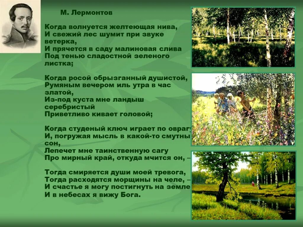 Стихотворение желтеющая нива анализ. М.Ю.Лермонтова "когда волнуется желтеющая Нива...". М Ю Лермонтов стихотворение когда волнуется желтеющая Нива. Лермонтов "когда волнуется желтеющая Нива..." (1837 Г.). Желтеющая Нива Лермонтов стих.