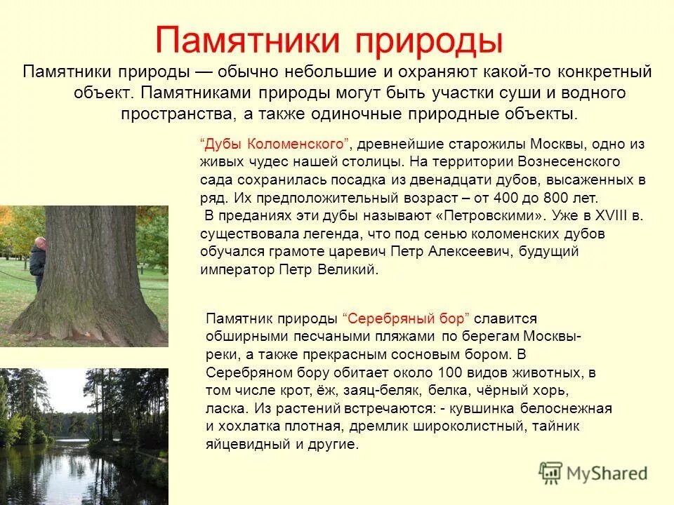 охраняют какое время