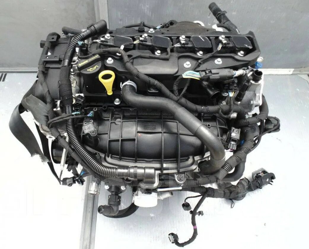 Форд куга контрактный двигатель. Двс форд куга 2. 0 дизель. Hydb номер двигателя. 0 форд куга.