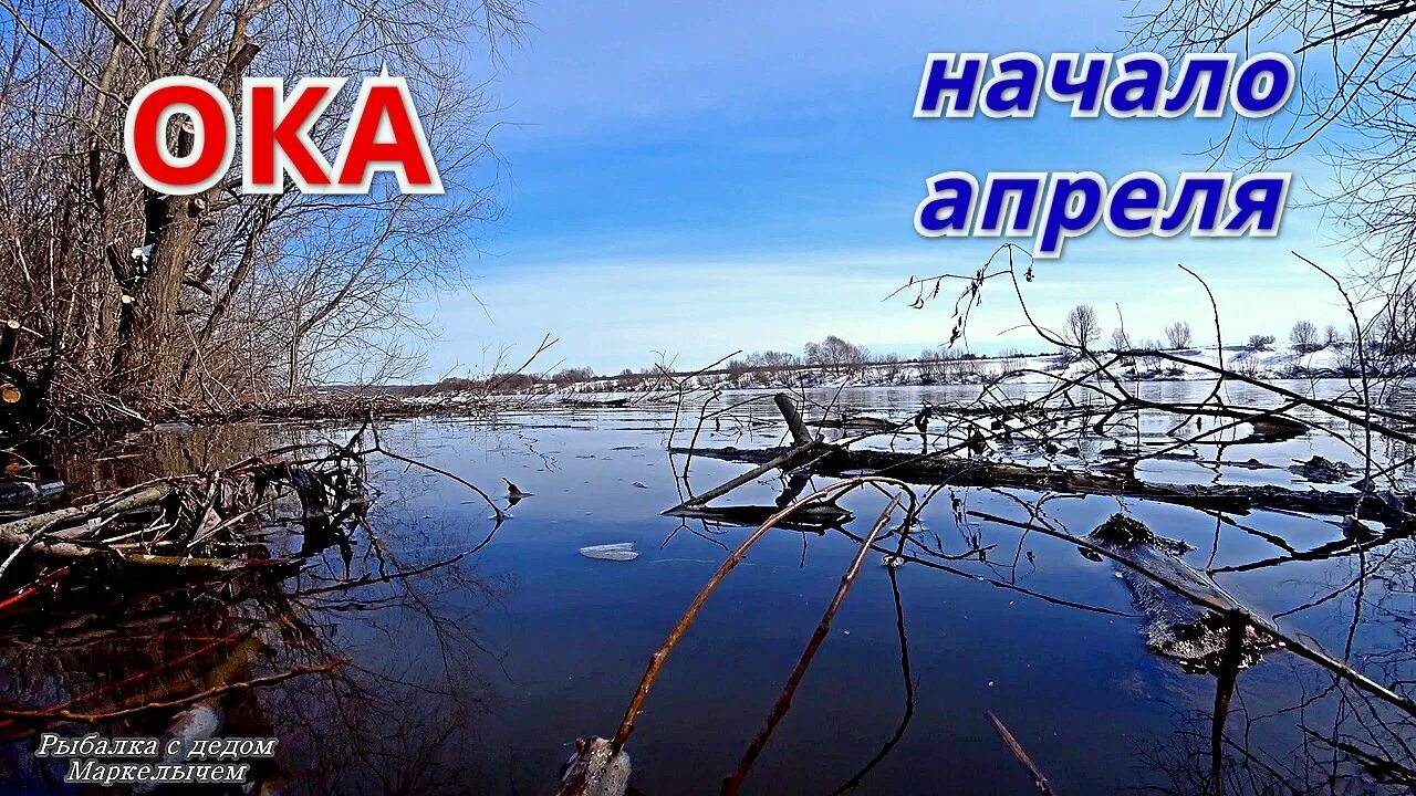 Разлив на Оке весной. Рыбалка в апреле. Разлив Оки 2022. Где рыбачить в апреле