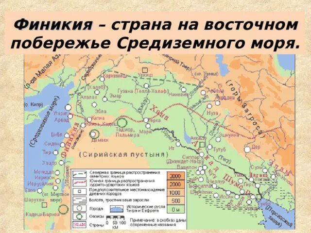 Какие города находились на территории финикии