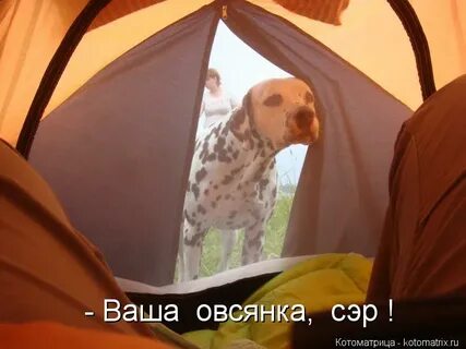 Спишь тогда