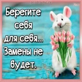 Берегу не работает