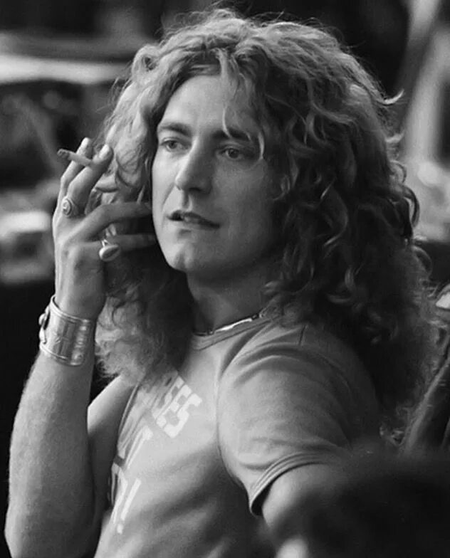 Плант. Роберт Плант. Led Zeppelin Роберт Плант. Роберт Плант молодой. Роберт Плант в молодости.