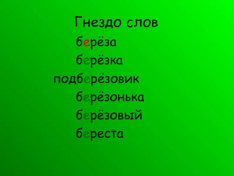 Березка однокоренные. Берёза однокоренные слова. Гнездо слов. Однокоренные слова к слову береза. Проверочное слово к слову береза.