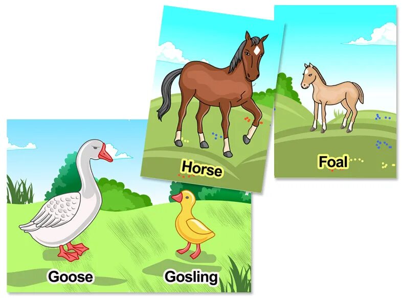 Карточки животные для детей. Карточки домашних животных для детей. Лошадь и жеребенок карточки для дошкольников. Карточки мамы и Детеныши животных.