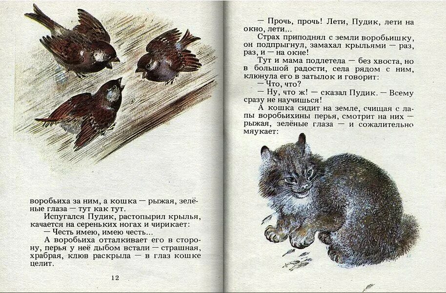 Книжка Воробьишко Максима Горького. Читать рассказ воробьи