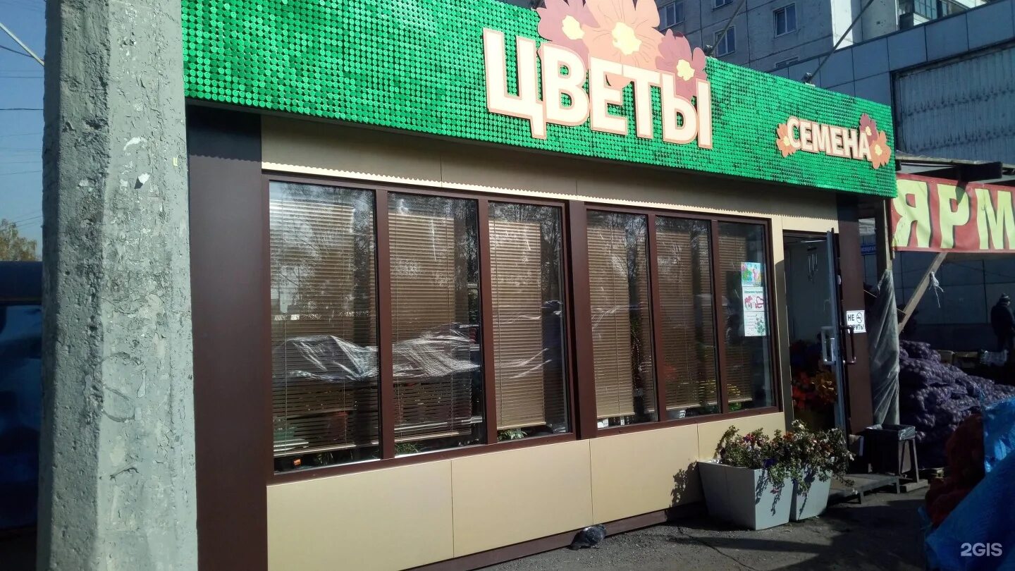 букет цветов ярославль. машиностроителей 48 ярославль. ботаник с цветами.