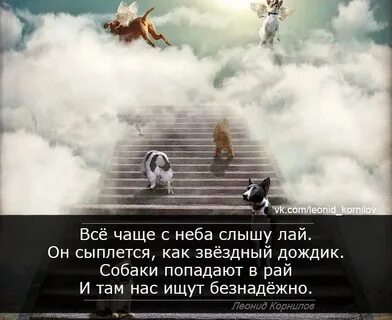 Песня слышишь лай лай лай