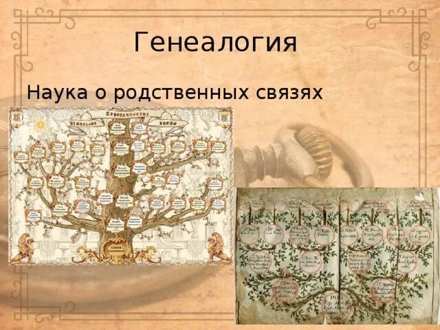 Генеалогия это наука. Функции генеалогии. Наука изучающая родственные связи растений. Систематика животных классификация царства. Ботаника это наука изучающая растения.