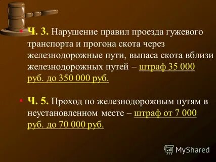Закон выпас скота