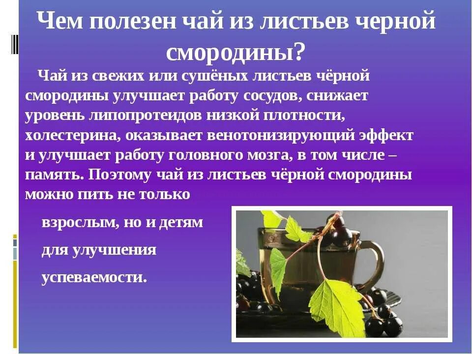 Лист смородины вред. Листья смородины польза. польза листьев смородины. чай из листьев смородины п. смородиновые листья польза.