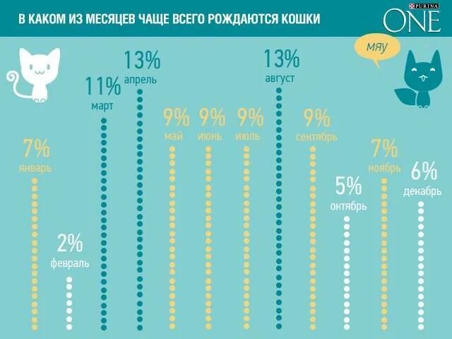 6 месяцев чаще всего