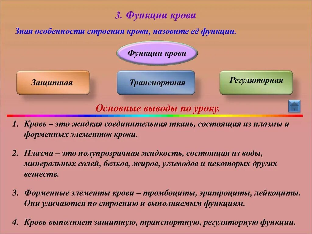 Функционал и функция