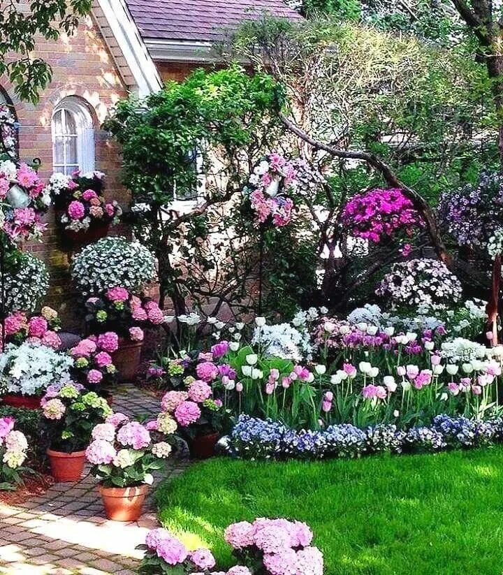 15 цветочных спецэффектов для украшения сада Garden containers, Backyard garden,