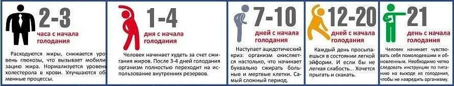 Два дня голодания. Лечебное голодание схема. сколько можно голодать без вреда для здоровья. что происходит с организмом во время голодания. голод на воде.