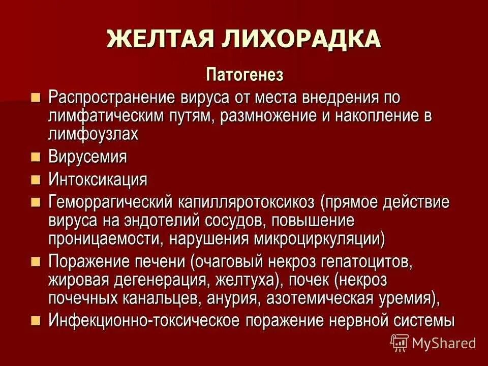 Лихорадка латынь. Желтая геморрагическая лихорадка патогенез. Желтая лихорадка патогенез. Желтая лихорадка этиология. Лихорадка презентация.