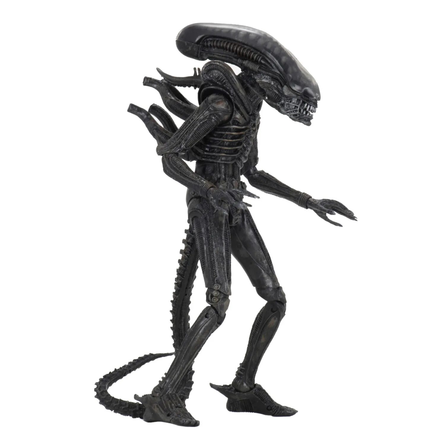 Чужой фигурка NECA. Чужой фигурка NECA 1979. Фигурка NECA Alien Xenomorph 31929. Фигурка NECA Alien Xenomorph 31930. Чужой по английски