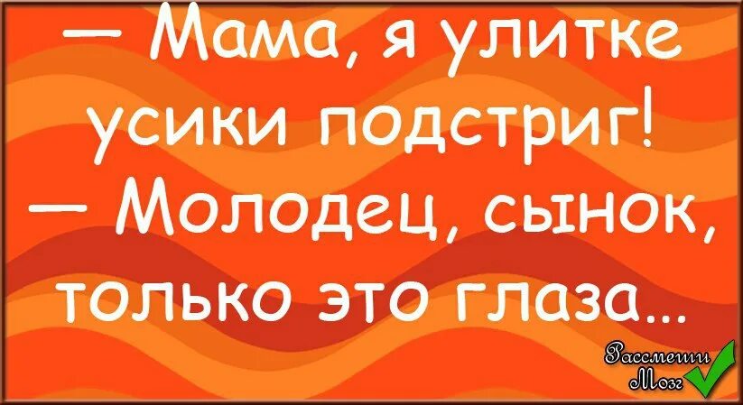 Мама сразу бы сказала молодчина ты сынок. Молодец сынок. Молодец сынок сынок молодец. Молодец сынок картинки. Я улитке усики подстриг.