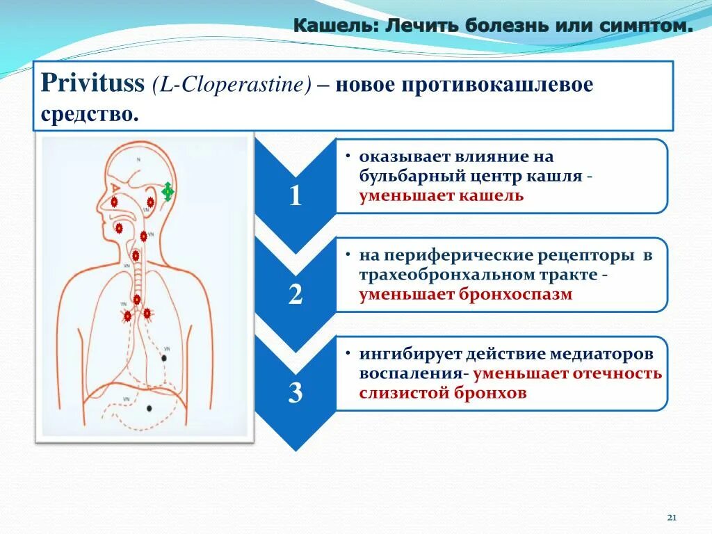 Центр кашля. Кашлевой центр. рецепторы кашля. кашлевые рецепторы. кашлевые центры у человека.