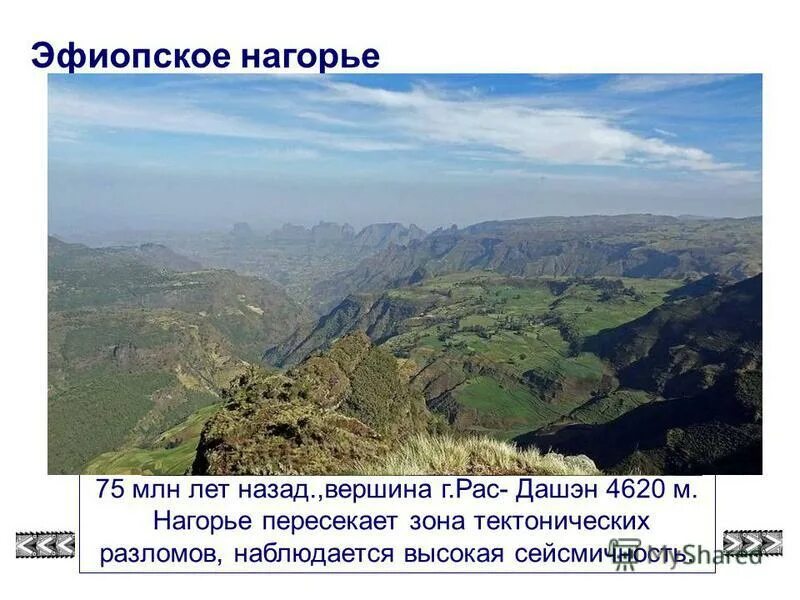 Эфиопское нагорье полезные ископаемые. Полезные ископаемые эфиопского нагорья. Полезные ископаемые эфиопского нагорья в африке. Рельеф эфиопского нагорья. Эфиопское нагорье африка.