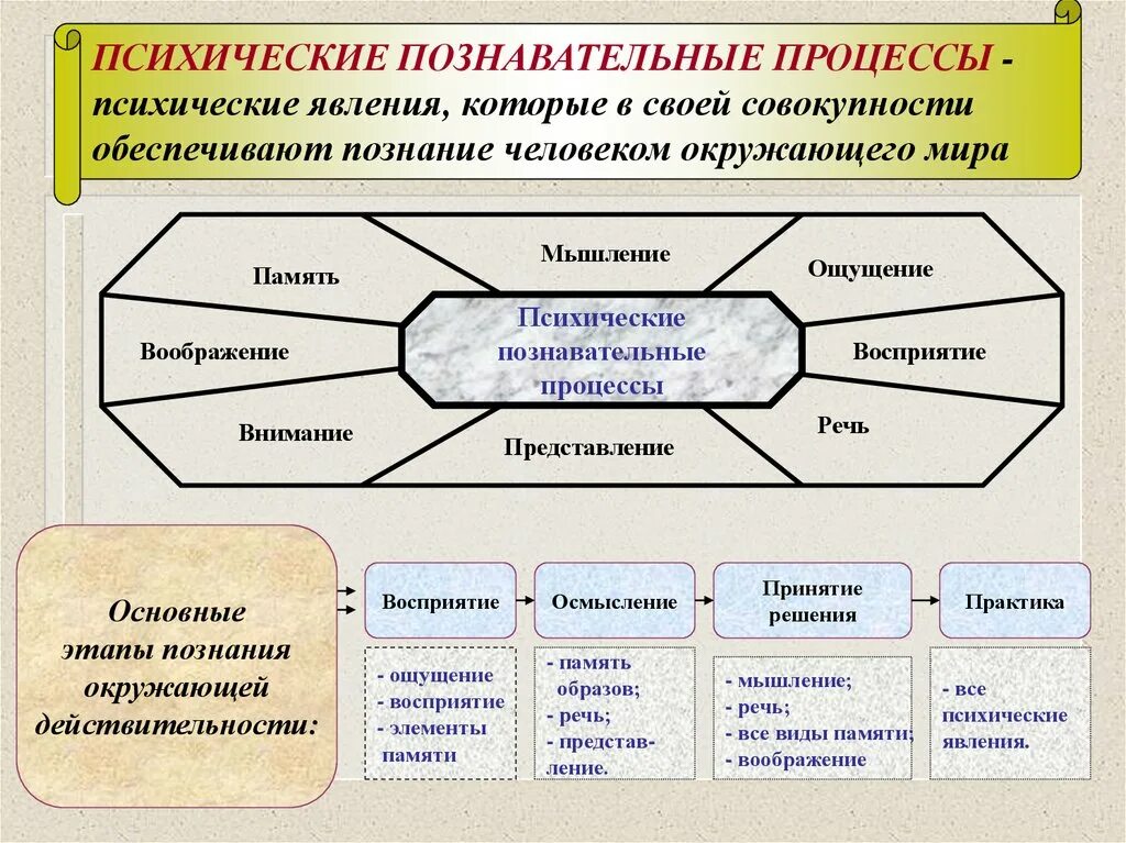 Высший процесс познавательной деятельности человека