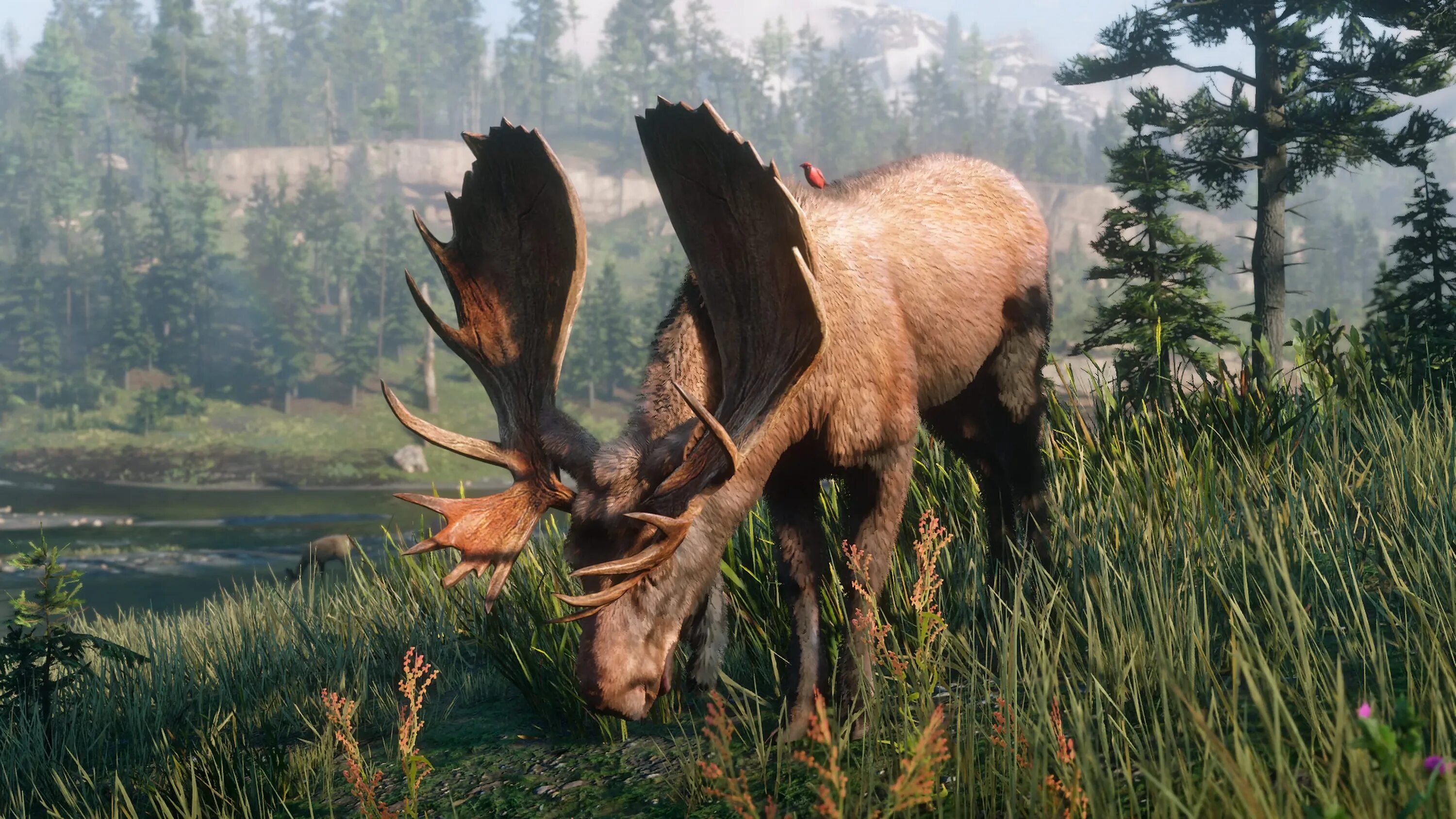 Legendary animal. Животные в ред дед редемпшн 2. Red Dead Redemption 2 природа. Лось РДР 2. Red Dead Redemption 2 животные.