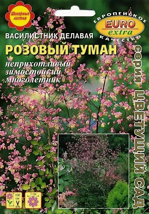 Василистник киузский Thalictrum kiusianum. Василистник Делавея семена. Василистник розовое шампанское. Василистник яркие помпоны плазменные семена. Василистник семена купить