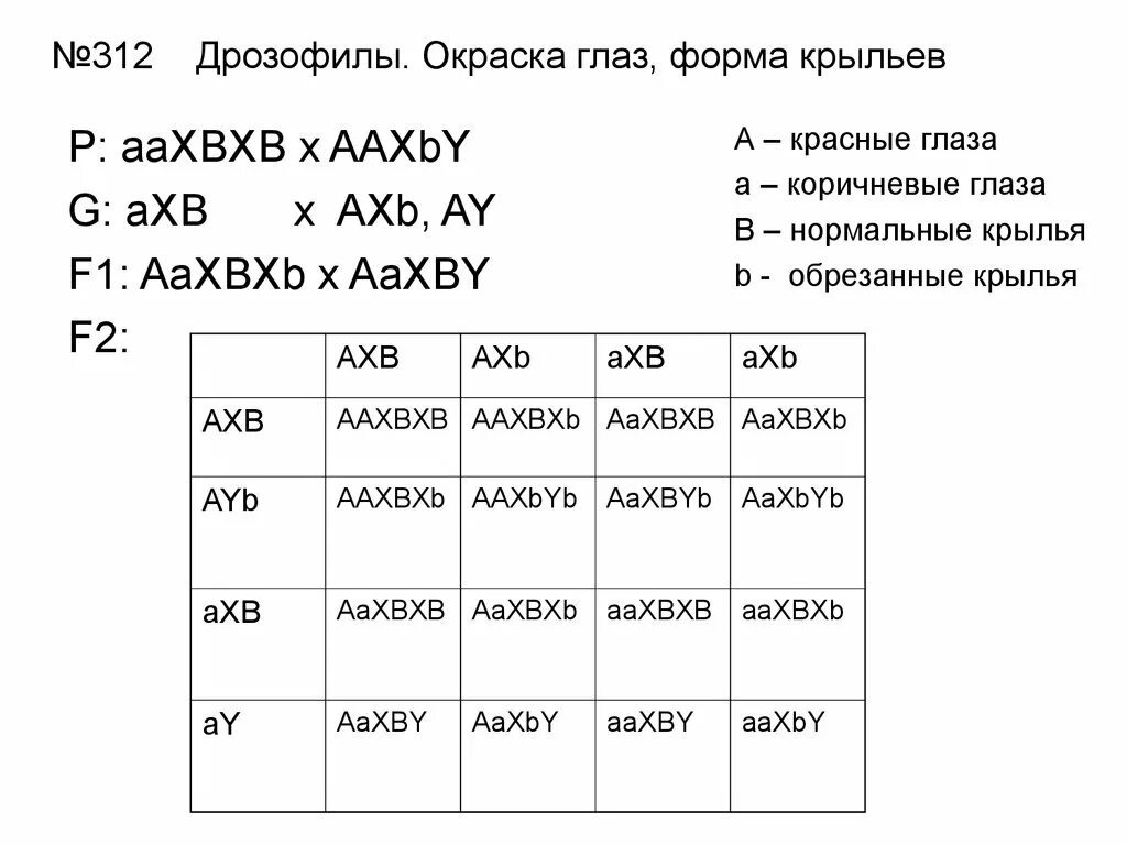 Наследование цвета глаз у дрозофилы. У дрозофилы красный цвет глаз и нормальные Крылья доминантные. Форма крыльев у дрозофилы аутосомный ген. Форма крыльев у дрозофилы определяется аутосомным геном ген.