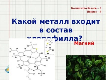 Какой металл входит в хлорофилл