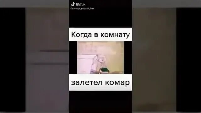 Как поймать комара в комнате быстро ночью. Комар залетел в комнату. комар залетел в комнату учитель. что делать если в комнате комары. комар в комнате.