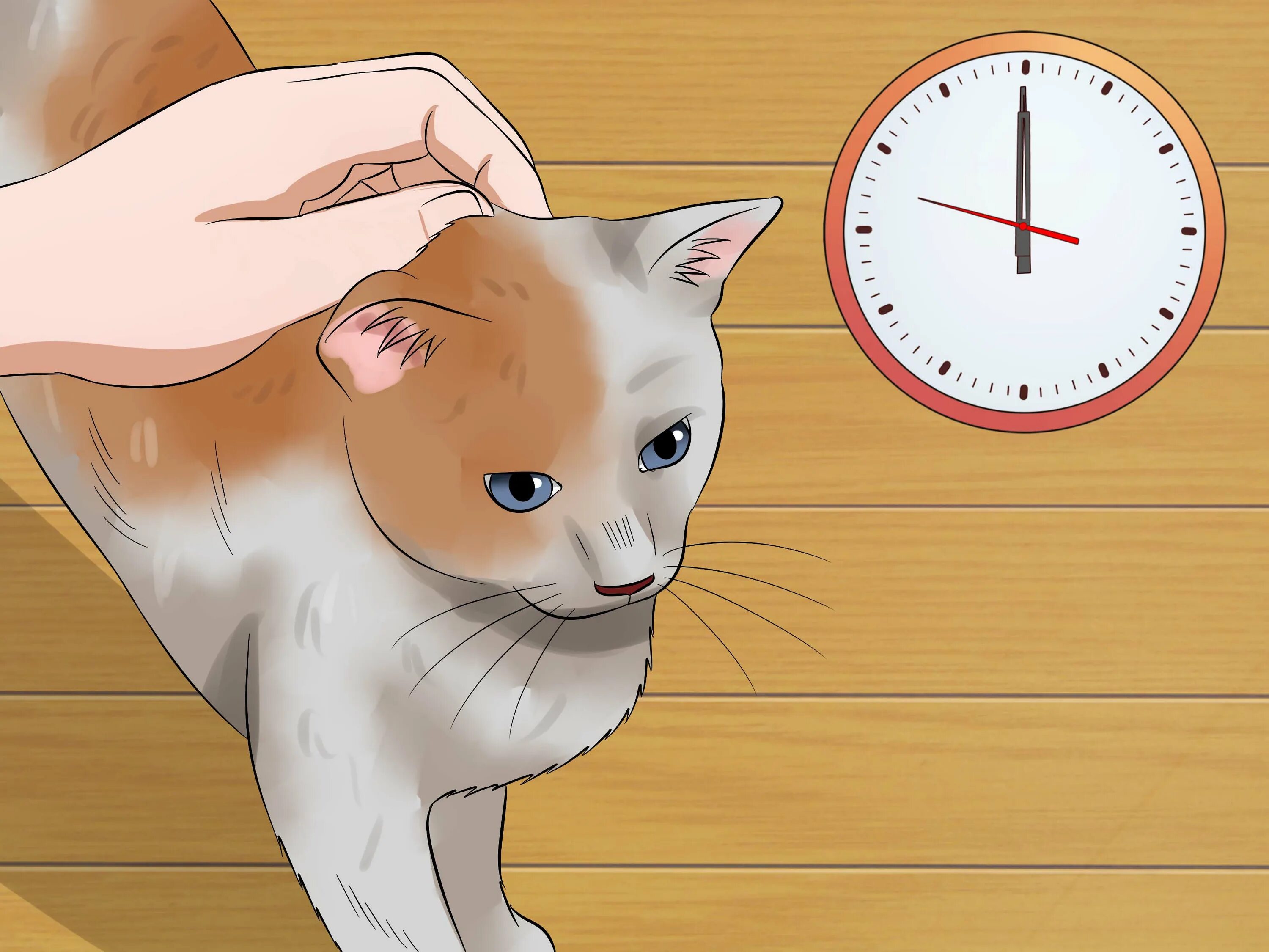 Гладить кошку картинка для детей. Being petted to be petted. Где можно гладить кошку. Seattle trash dump cat dog. Шерсть от животных на ковре.