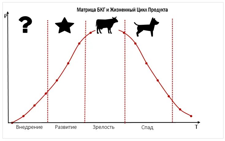 Установите соответствие между особенностью жизненного цикла. Матрица бкг и жизненный цикл товара. матрица бкг и стадии жизненного цикла. жизненный цикл продукта (bcg). матрица bcg дойная корова.