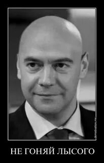 Гоняюсь за лысым
