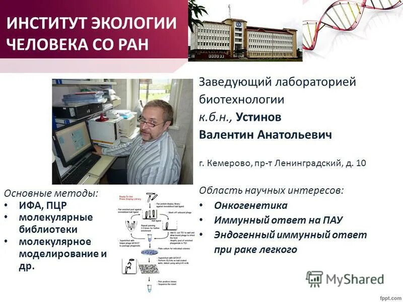 институт северцева черноголовка. институт экологии со ран. институт экологии со ран. лаборатория ран. школа лаборатория жизни.