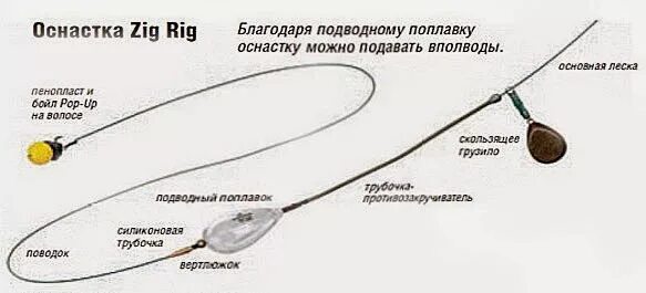 Zig rig оснастка на карпа. Ловля карпа на зиг риг. Зиг риг карповая оснастка. Зиг риг оснастка на карпа. Зиг риг оснастка на карпа.