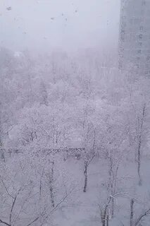Забытые снега