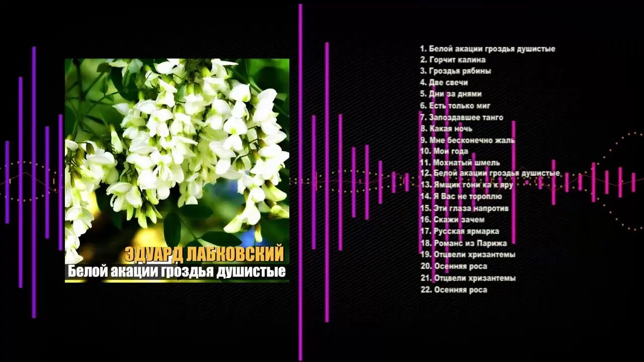 Песни пряного. Белой акации цветы эмиграции. Романс белой акации гроздья душистые. Белой акации гроздья душистые текст. Белой акации текст.